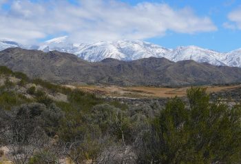 El Senado volvió a patear para agosto la ley de tierras y la pelea por la compra extranjera sigue abierta