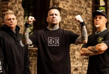 Animal en su regreso a San Juan