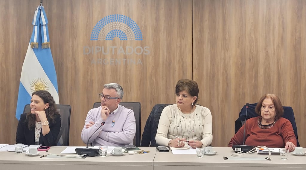 La oposición busca abrir en Diputados el debate por el endeudamiento de las familias
