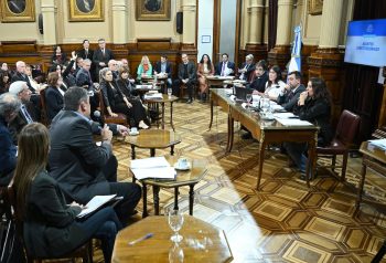 La reforma politica vuelve al Senado con las PASO en el centro de la pelea