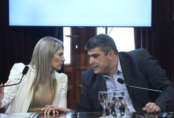 Daniel Pablo Bensusán durante una reunión de comisión en el Senado