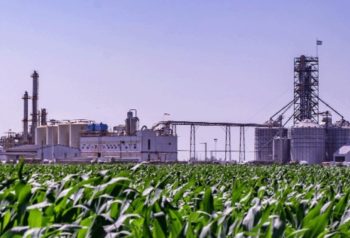 Planta de bioetanol junto a un cultivo de maíz en Córdoba