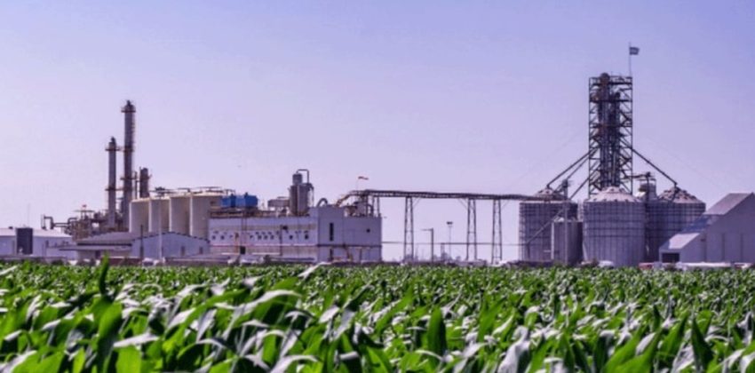 Planta de bioetanol junto a un cultivo de maíz en Córdoba