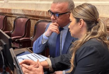 Sonia Rojas Decut y Carlos Arce conversan en sus bancas del Senado