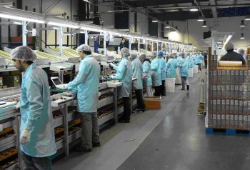 La producción mejora en la conversación pública, pero el pesimismo todavía condiciona al Gobierno