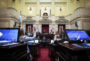 Sesión del Senado del 29 de octubre, en la que se aprobó el régimen de inversiones RIIR