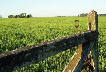Ley de Tierras “light”: el oficialismo apura un dictamen para desactivar la presión opositora